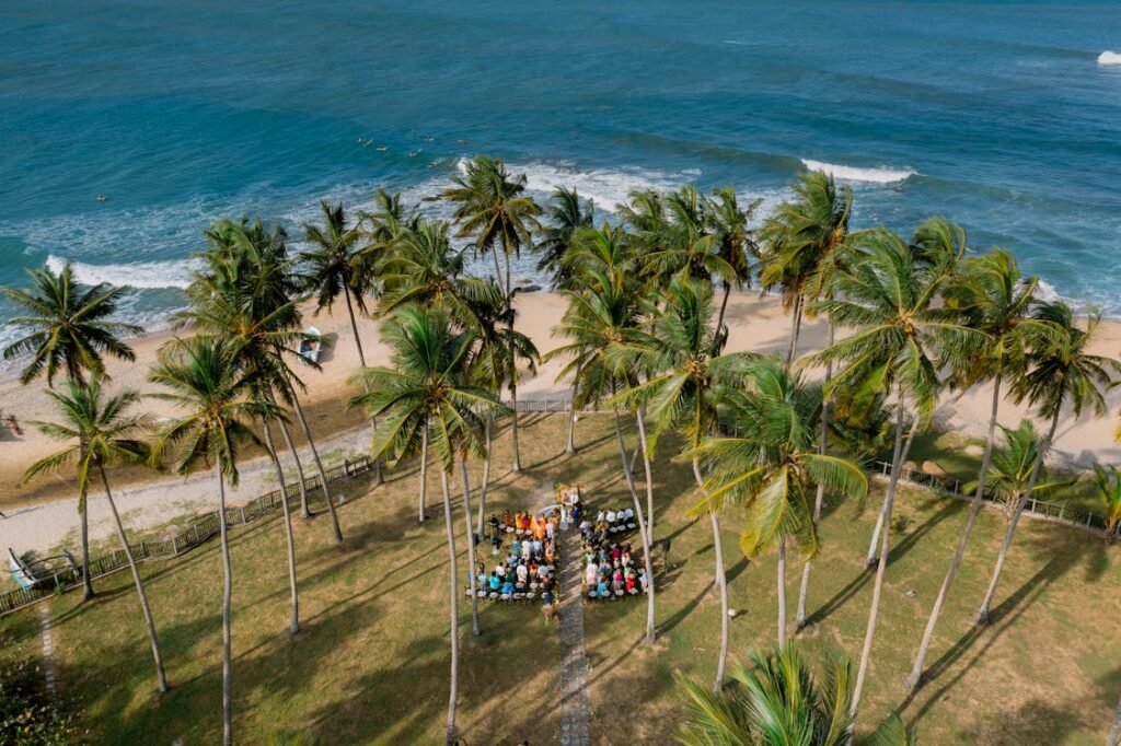 Arugam Bay surf camps, budget backpacking, Sri Lanka wildlife.