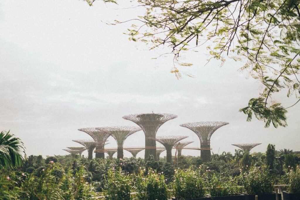 Futuristic Supertree Grove at Gardens by the Bay, Singapore, with lush greenery and glowing night lights