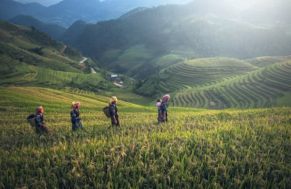 Vietnam Rice Terraces Cycling Bucket List