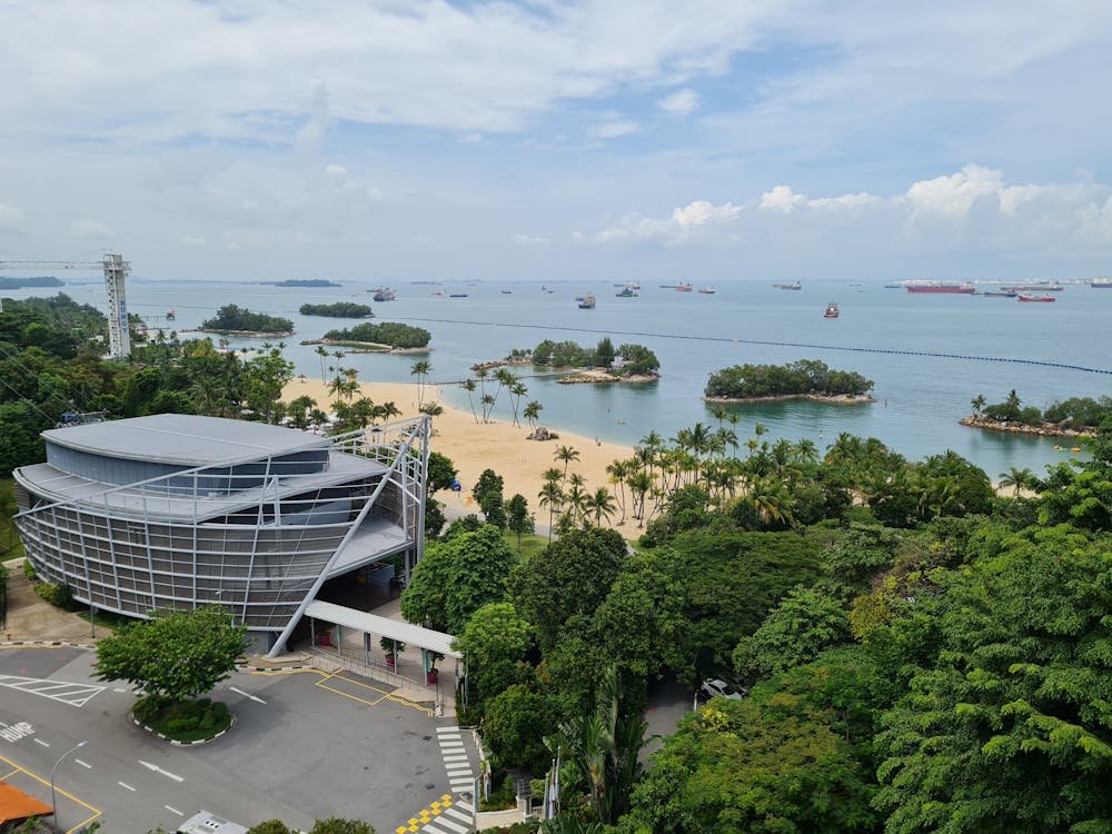 Vibrant Sentosa Island beach with palm trees, golden sand, and clear blue waters in Singapore